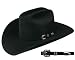 Stetson&reg; 4X Black Skyline
