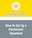 How To Set Up a Freshwater Aquarium