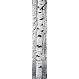 Bildtapete Seeufer 169 00 � Bildtapete Seeufer 169 00 �