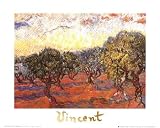 The Olive Grove, c.1889 Art Poster Print by Vincent van Gogh, 12x10