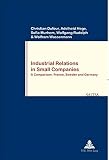 Industrial relations in small companies : a comparison: France, Sweden and Germany