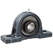 FYH NAP205-16 Pillow Block Mounted Bearing, 2 Bolt, 1" Inside Diameter, Eccentric Lock, Cast Iron, Inch
