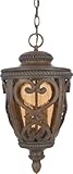 Quoizel FQ1910AW01 French Quarter 2-Light Outdoor Hanging Lantern, Antique Brown