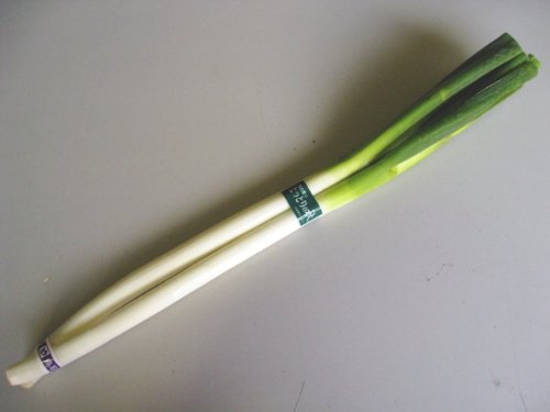 日常の一般野菜!白ねぎ1束