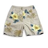 Coconut Pier - Boys Bathing Suit, Putty, Yellow, Teal
