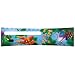 Xbox 360 Faceplate Viva Pinata