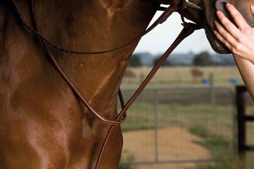 Premimum Leather Raised Martingale - Standing