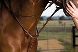 Kincade Raised Martingale - Standing