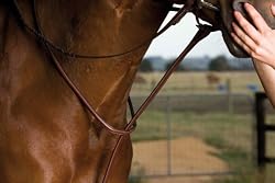 Kincade Raised Martingale Standing