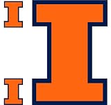 Team Logo, Large Format, Removable