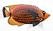 XL Handpainted Antique Color Tropical Fish Replica Wall Plaque, 12 x 12 inches, Unframed, Wall Mount, Modern, Contemporary, Living Room, Bedroom