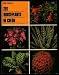 Book 201 houseplants in color