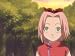 Sakura Blossoms!