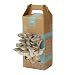 Do-it-yourself Mushroom Kit