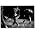 Thumbnail image of Pearl Jam