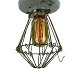 Buy 30 Watt Radio Filament Flush Mount Light with Bulb and Trouble Cage