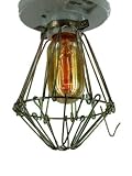 30 Watt Radio Filament Flush Mount Light with Bulb and Trouble Cage