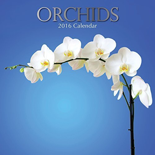 Orchids Wall Calendar by The Gifted Stationery Company