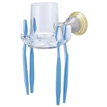 American Standard 8040.061.246 Prairie Field Clear Glass Tumbler/Toothbrush Holder, Satin with Polished Brass Accents