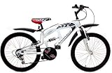 AMMACO MT22 13/22 Full Suspension BMX Bike