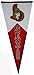 Ottawa Senators Classic Team Pennant