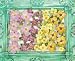Caboodles Flowers B Purple/Yellow (Prima Marketing)
