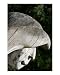 Portrait of the artist Emerging Artists Photographic Poster Print by Oni Q, 16x20