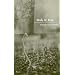 Mule & Pear (New Issues Poetry & Prose)