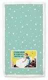 Ephemera--A Clean House is a Sign of an Wasted Life Kitchen Towels Set/2