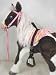 Sporting Goods : Butterscotch S'Mores Interactive Horse Saddle Set -Indian Princess