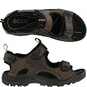 Ecco Mens 69534