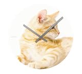 Wall clock Cuty Cats Mauro glass