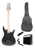 Viper 39 Inch Black Electric Guitar and 10 Watt Amp Pack Carrying Case & Accessories (Includes Whammy Bar, Strap, Cable, Pick, Strings, eBook, Harmonica)