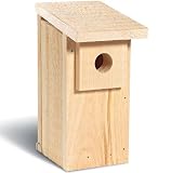 Economy Bluebird Trail Box 6-pack