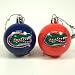 Florida 12PK Ornament Set