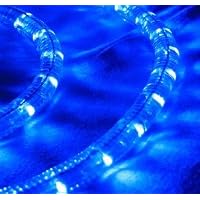 Blue 100 FT 110V-120V LED Rope light Kit, 1.0 LED spacing, Christmas Lighting, Outdoor rope light