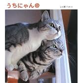 うちにゃん@