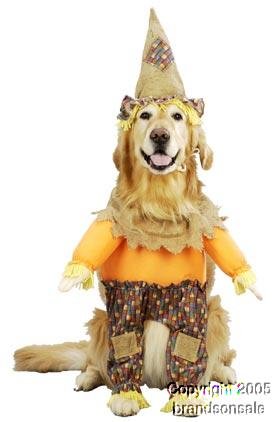 Pet Scarecrow Dog Costume For X-small Dogs