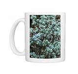 Dwarf willow (Salix Boydii) Photo Mugs