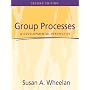 Group Processes: A Developmental Perspective