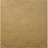 IMAGE OF Amigo Parchment Futon Cover Size: Twin