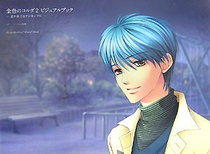 金色のコルダ2 ビジュアルブック ~君と奏でるアンサンブル~