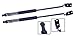 2 Pieces (Set) Tuff Support Hatch Lift Supports 1989 To 1994 Geo Metro Hatchback