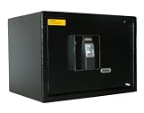Biometric 9.88\" Wall Safe in Black