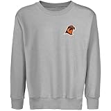 Bowling Green State Falcons Youth Ash Logo Applique Crew Neck Fleece Sweatshirt