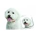 Bichon Frise Dog Mouse Pad & Coaster Set