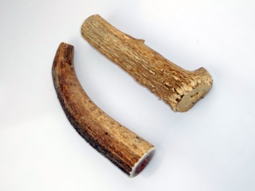 JimHodgesDogTraining Brand - Premium Quality Almost Large Elk Antlers For Dogs - 2 Pack - Antler Chew For Small to Medium Sized Dogs or Puppies and Less Aggressive Chewers - Naturally Shed - Made in America - Safe, Healthy, Nutritious Long Lasting Treat Alternative To Dog or Puppy Chews, Snacks, Toys or Bones - Antlers Hand Picked for Jim Hodges Dog Training