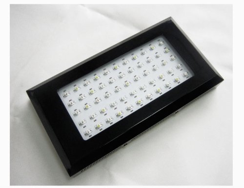 Maxtra Epistar 120 Watt Led Aquarium Grow Light Blue White