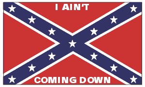 Confederate - "Ain't Commin Down" 3 x 5 Foot Flag