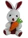 Tickles Stuffed Soft Plush Toy Kids Birthday Cute Rabbit With Carriot 17 cm RS.271.00